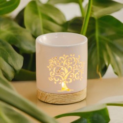 Brûle parfum Série...