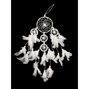 Attrape rêves - Arbre de...