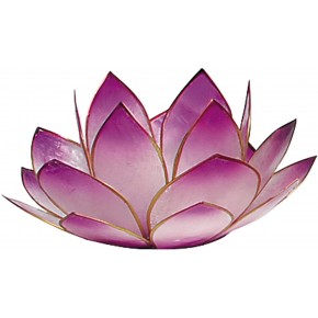 Photophore lotus - nacre