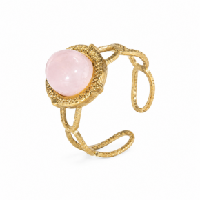 Bague acier inoxydable -...