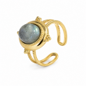 Bague Acier Inoxydable -...