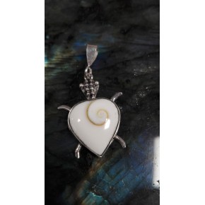 Pendentif argent oeil de...