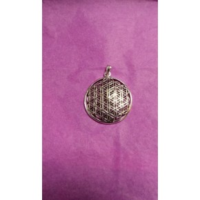 Pendentif argent - Fleur de...