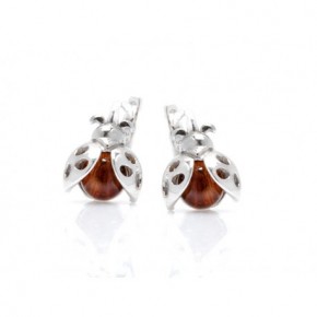 Boucles d'oreilles argent...