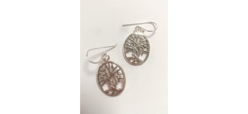 Boucles d'oreilles en argent